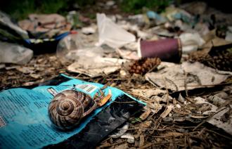 Eine Schnecke liegt auf Müllverpackungen in der Natur.