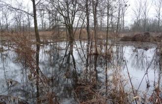 Nuthe, Hammerfließ und Eiserbach (© Landeshauptstadt Potsdam)