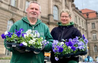 Frühjahrspflanzaktion in Potsdam.