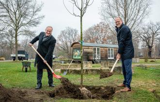 Bernd Rubelt (l.) und Bert Nicke pflanzen einen "Herbstprinz" im Volkspark Potsdam.
