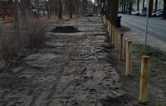 Poller für mehr Baumschutz in der Drewitzer Straße