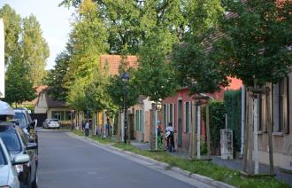 Stadtbäume,