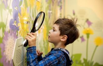 Sonderausstellung „Mensch Biene!“ im Naturkundemuseum Potsdam endet am 2. Oktober,