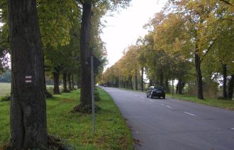 Amundsenstraße