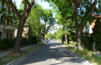 Behringstraße
