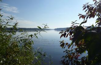 Jungfernsee