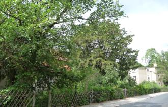 Große Weinmeisterstraße