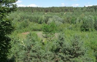 Ravensberge und Forst Potsdam
