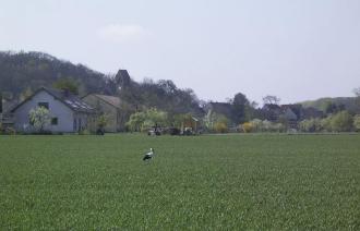 Blick zum Reiherberg und zur Kirche Golm
