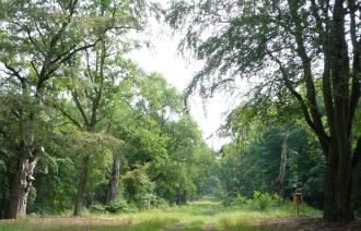 im Wildpark (© Landeshauptstadt Potsdam/Heiko Wahl)