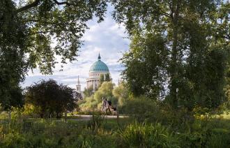 Das Sommerfoto zeigt den Blick von der Freundschaftsinsel mit Wiese, Blumen, Sträuchern und Bäumen auf die Nikolaikirche im Hintergrund.