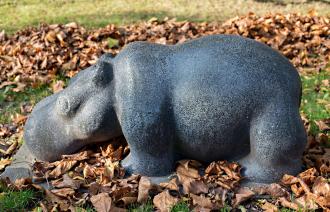 Nilpferd und Seelöwe (© Dirk Alexander Schermer)