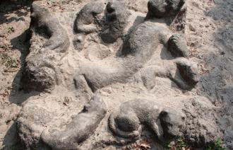Löwin mit Jungen (© Dirk Alexander Schermer)