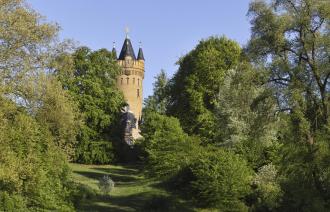 Das Bild zeigt den Flatowturm inmitten grüner Bäume im Park Babelsberg.