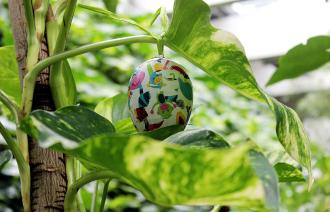 Osterferienprogramm in der Biosphäre Potsdam