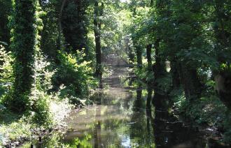Schafgraben