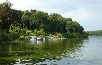 Naturdenkmal Nr. 19 Stiel-Eichen am Jungfernsee (© Heiko Wahl)