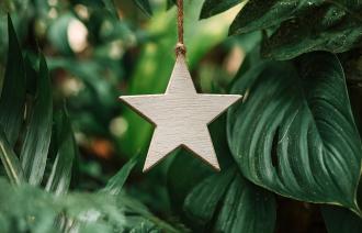 Foto: Biosphäre Potsdam, Lizenz: Biosphäre Potsdam