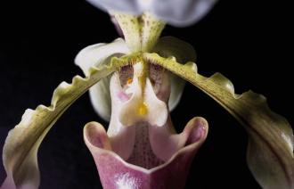 Foto: Biosphäre Potsdam, Lizenz: Biosphäre Potsdam