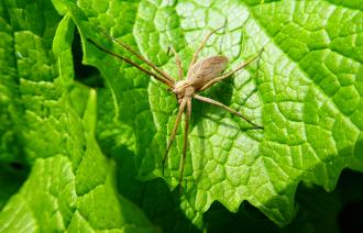 Foto: Larissa Trommer, Lizenz: Larissa Trommer