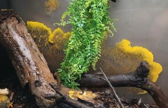 Foto: NANO, Lizenz: NANO