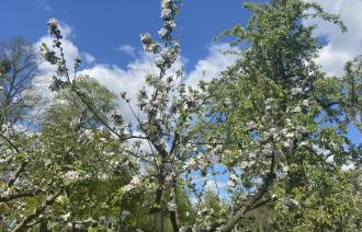 Foto: Museum Alexandrowka, Lizenz: Museum Alexandrowka