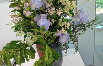 Foto: URANIA Potsdam, Lizenz: URANIA Potsdam