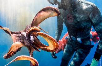 Foto: Christa Funk, Lizenz: Christa Funk