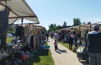 Foto: Stefanie Brauer