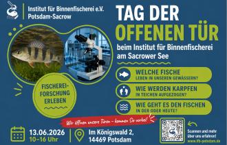 Foto: Institut für Binnenfischerei e. V. Potsdam-Sacrow, Lizenz: Institut für Binnenfischerei e. V. Potsdam-Sacrow