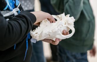Kind mit Schädel eines Wolfes, Foto: David Marschalsky, Lizenz: NKMP
