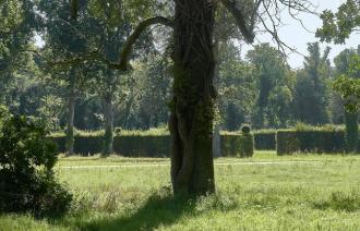 Klimawandel im Park Sanssouci, Foto: Daniel Lindner, Lizenz: SPSG