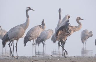 Foto: © Stefan Schulz, KR Film GbR