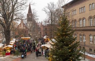 Menschen auf einem Weihnachtsmarkt zwischen Backsteingebäuden, kahlen Bäumen und beleuchteten Tannen; im Hintergrund ein Kirchturm., Foto: André Stiebitz, Lizenz: PMSG