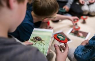 Forschen mit der Becherlupe, Foto: David Marschalsky, Lizenz: Naturkundemuseum Potsdam