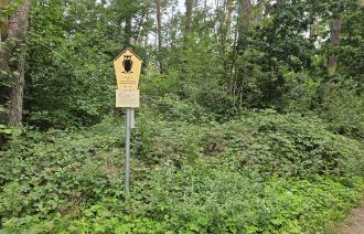 Foto: Ina Pokorny, Lizenz: Naturkundemuseum Potsdam