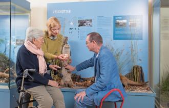 Wie und wo lebt eigentlich der Fischotter?, Foto: Nadine Quenzel, Lizenz: TMB-Fotoarchiv