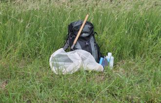 Entomologen-Rucksack im natürlichen Habitat, Foto: R. Klatt, Lizenz: R. Klatt