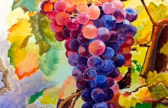 Wein 1 (Ausschnitt), Foto: Katrin Seifert, Lizenz: Katrin Seifert
