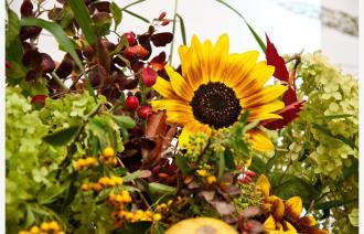 Gartenschönheit in Vasen, Foto: URANIA Potsdam, Lizenz: URANIA Potsdam