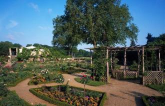Park Sanssouci, Schloss Charlottenhof, Blick in Rosengarten mit Schinkel-Laube, Foto: Hans Bach, Lizenz: SPSG