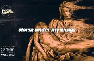 Storm under my Wings, Foto: Markus Bertuzzo