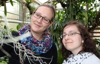 Foto: K. Kläring, Lizenz: Botanischer Garten Potsdam