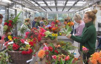 Gäste beim Blumenstrauß binden , Foto: Kerstin Kläring, Lizenz: Botanischer Garten der Universität Potsdam