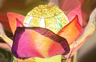 florale Lampendekoration, Foto: Myrijam Stoetzer, Lizenz: Myrijam Stoetzer