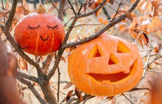 Foto: vecteezy, Lizenz: vecteezy