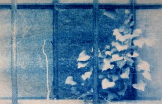 Neues Leben in Forst/Lausitz 2024/20255 , Foto: Uwe Paul Schulze, Lizenz: Uwe Paul Schulze Neues Leben in Forst/Lausitz 2024/20255 , Foto: Uwe Paul Schulze, Lizenz: Uwe Paul Schulze