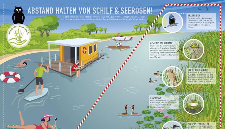 Infografik Wassertourismus