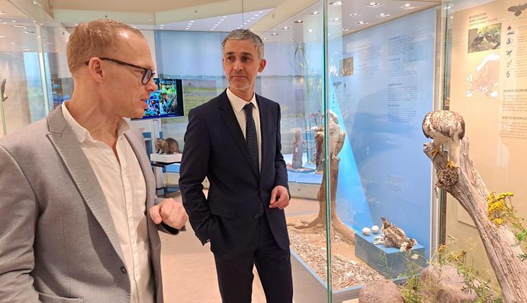 Naturkundemuseum Potsdam: Bilanz 2023 und Ausblick 2024