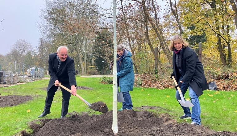 Bernd Rubelt und zwei Damen pflanzen einen Baum.
